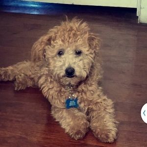 Meet your Posher, Michelle